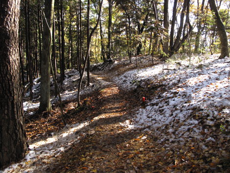 20161125hike (301)